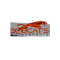 Bobcats Motorsports