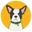 CBD Dog Health