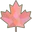 Custom Frames Canada