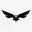 Drone License