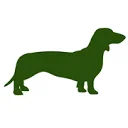 Teckel